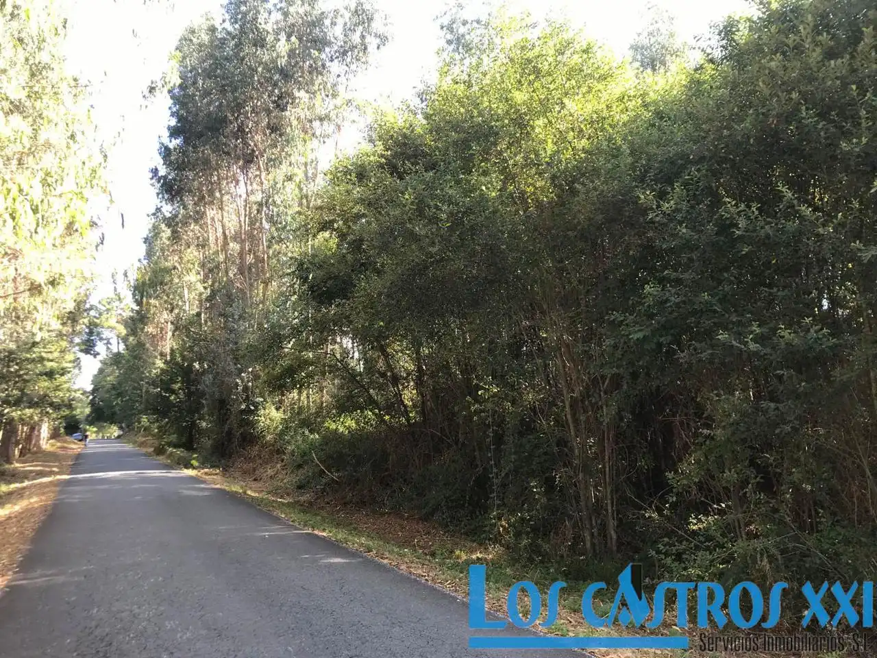 Exterior view of Residential for sale in Maside