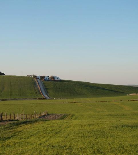 Foto 2 de Finca rústica en venda a Montealto, Cádiz