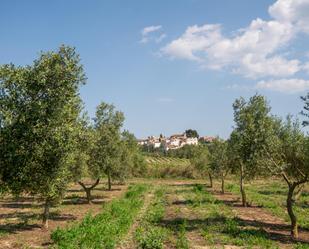 Garten von Grundstücke zum verkauf in Renau