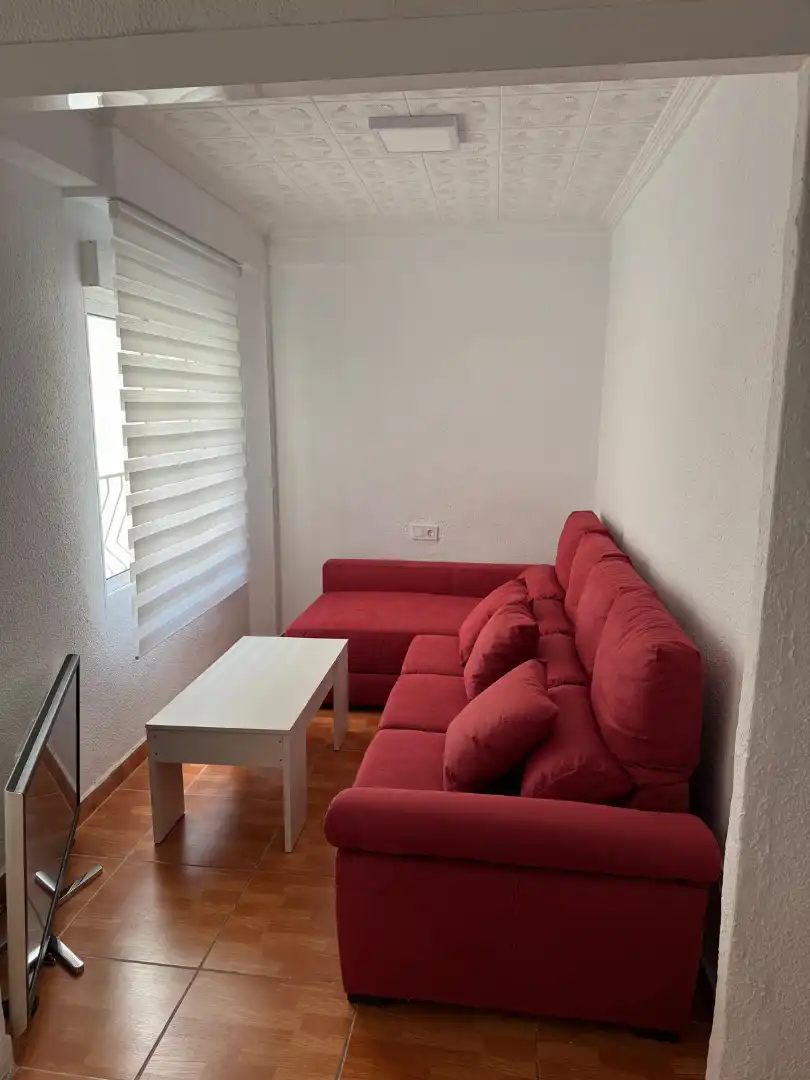 Sala de estar de Piso en venta en Elche / Elx con Amueblado, Horno y Lavadora