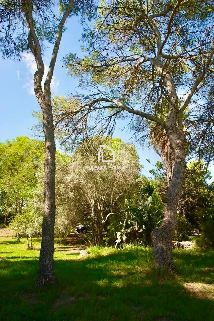 Vista exterior de Casa o chalet en venta en Maó - Mahón con Calefacción, Jardín privado y Terraza