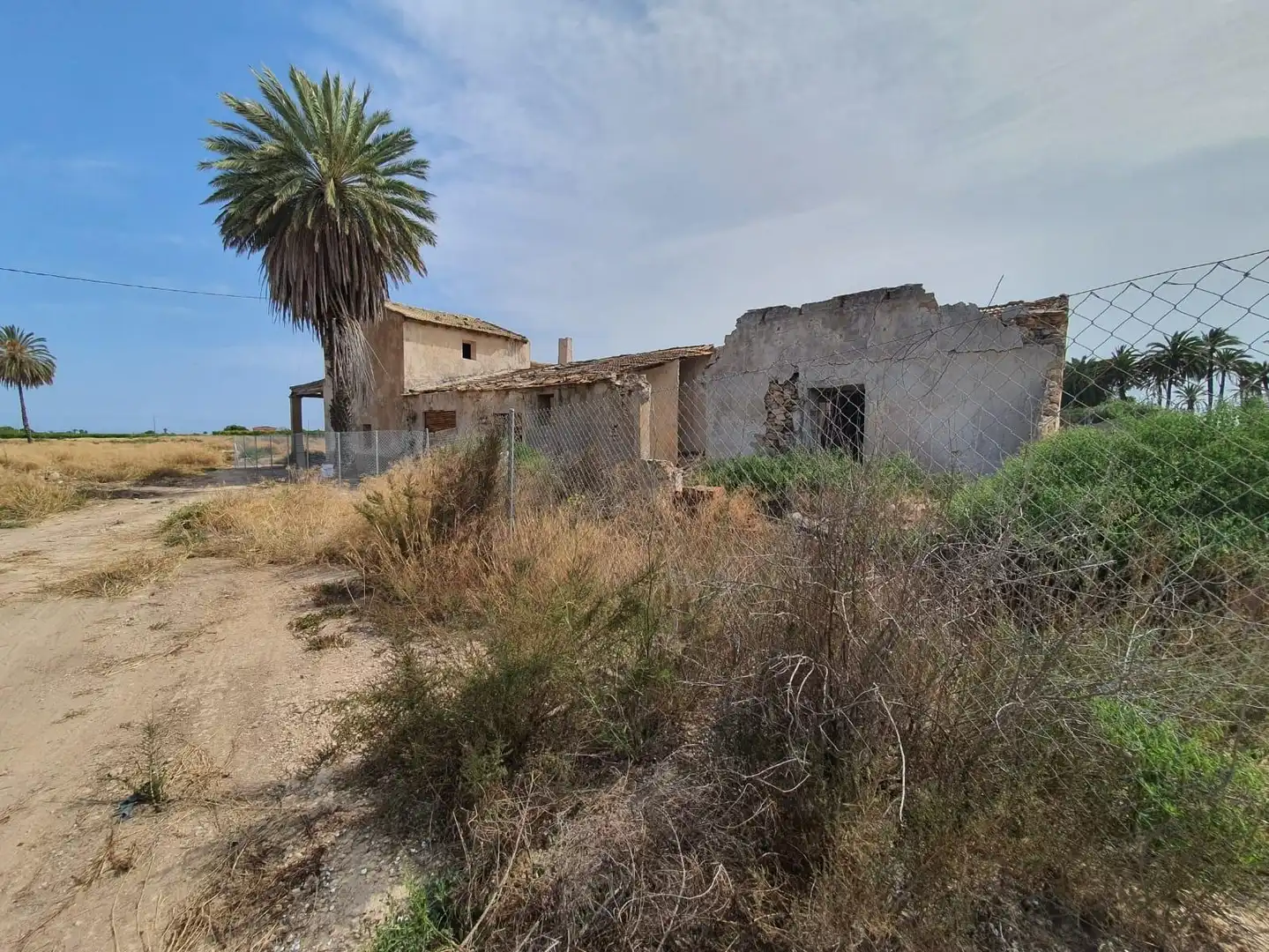 Terrain rustique à vendre à Elche ciudad, imagen 4