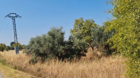 Photo 4 of Land for sale in N/a, Base Aérea, Madrid