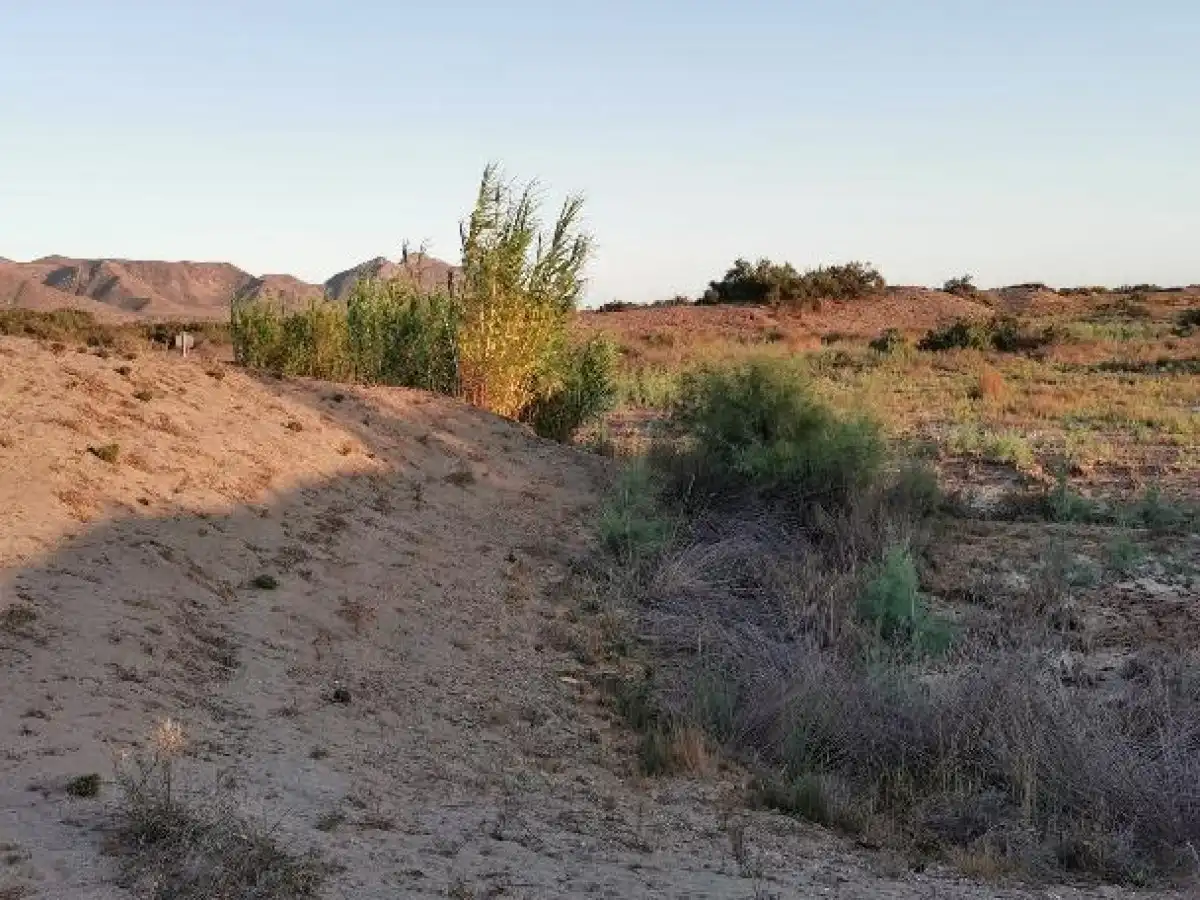 Terreno rustico in vendita a Camino LOS HUERTOS, imagen 7
