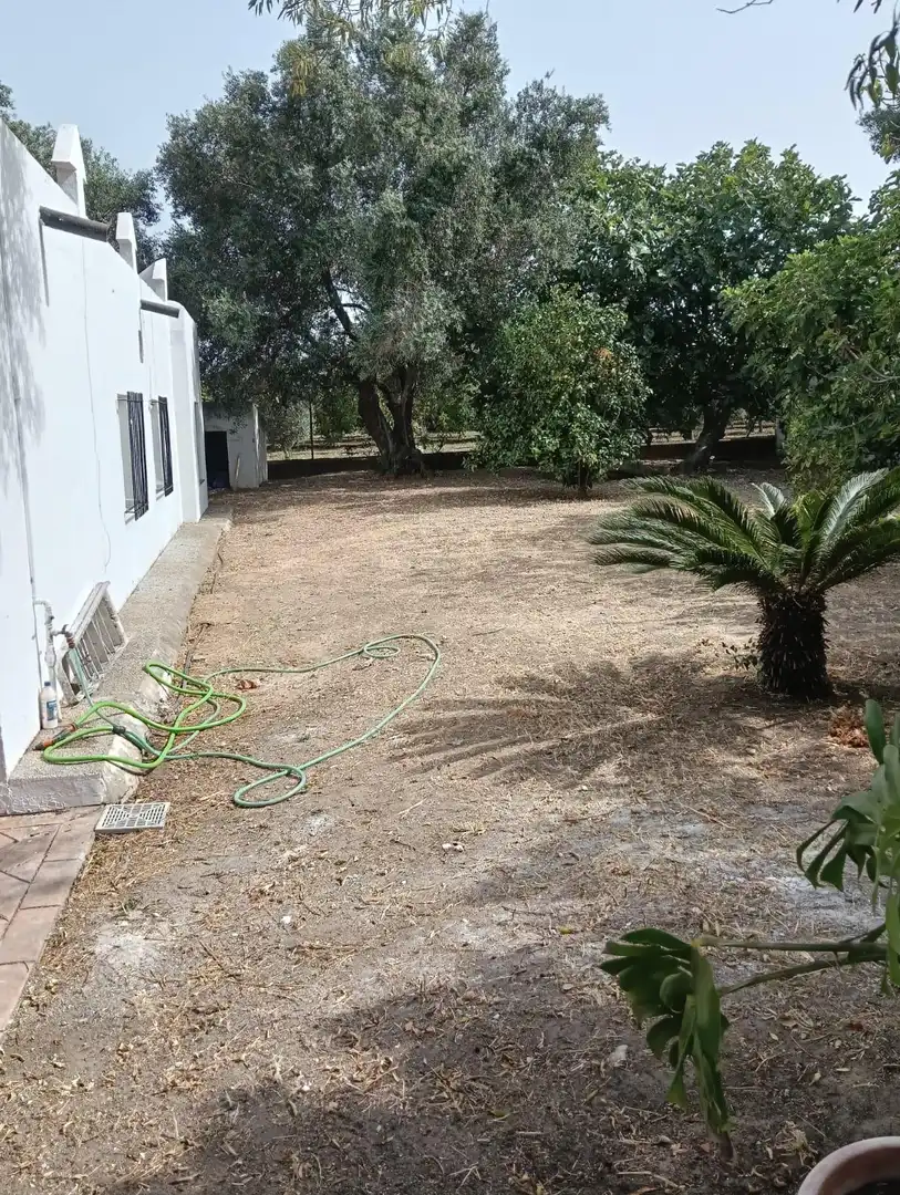Detached house with garden for sale in Barrio Nuevo, imagen 20