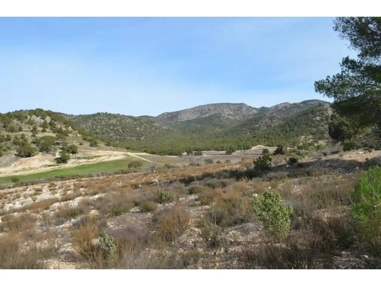 Terrains et parcelles à vendre à Pedanías Norte, imagen 35