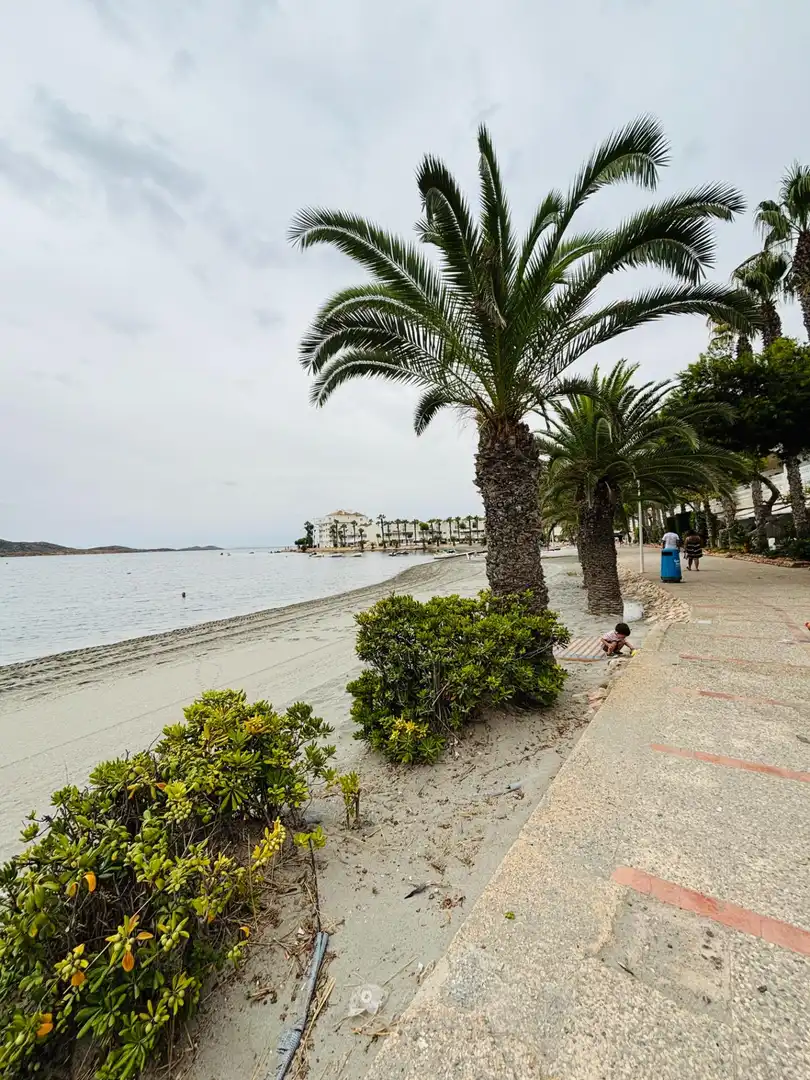 Vista exterior de Casa o chalet en venta en La Manga del Mar Menor con Jardín privado, Terraza y Trastero