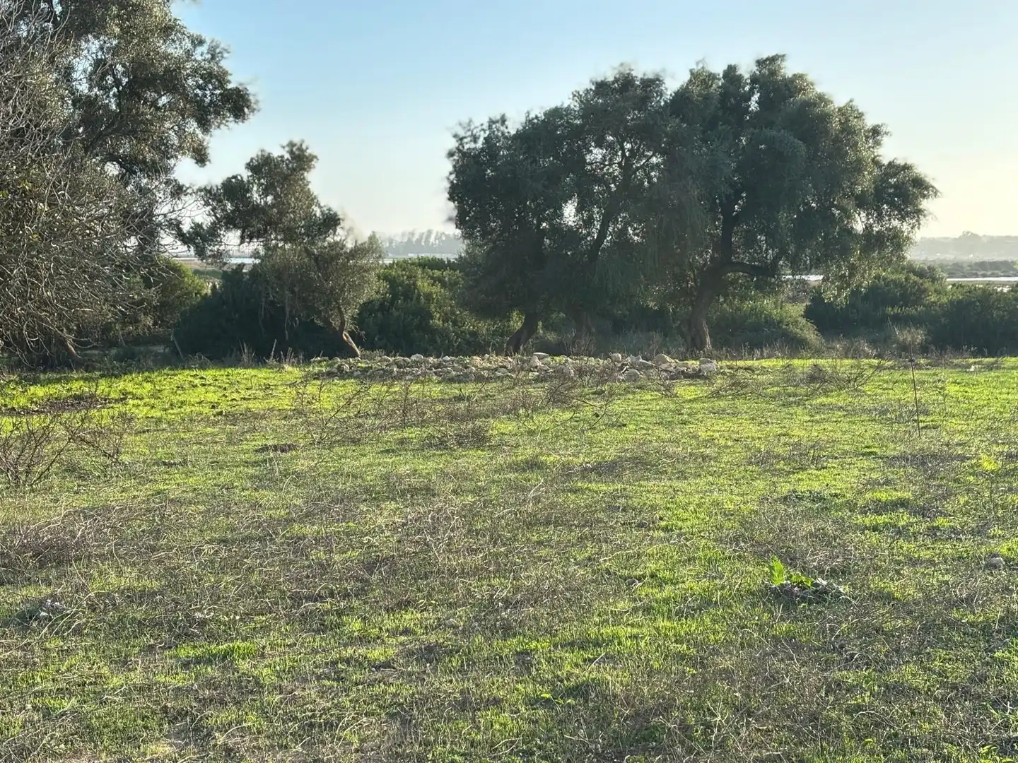 Terreni e lotti in vendita a Vejer, imagen 24
