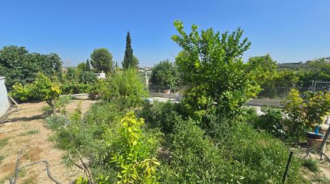 Foto 3 de Casa o chalet en venta en Camino Polígono 61 Paraje 155 Mina la, 98, Aguilar de la Frontera, Córdoba