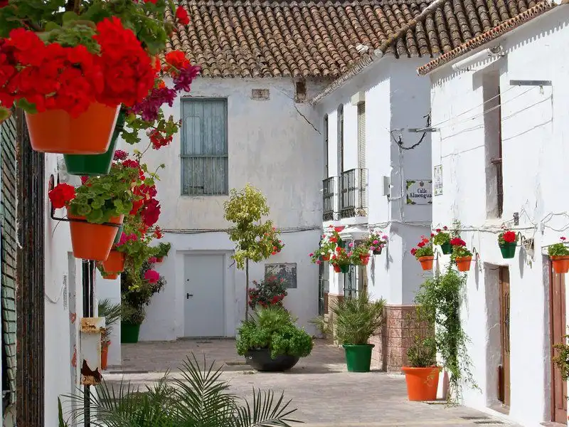 Immobles singulars en venda a Estepona Pueblo, imagen 30