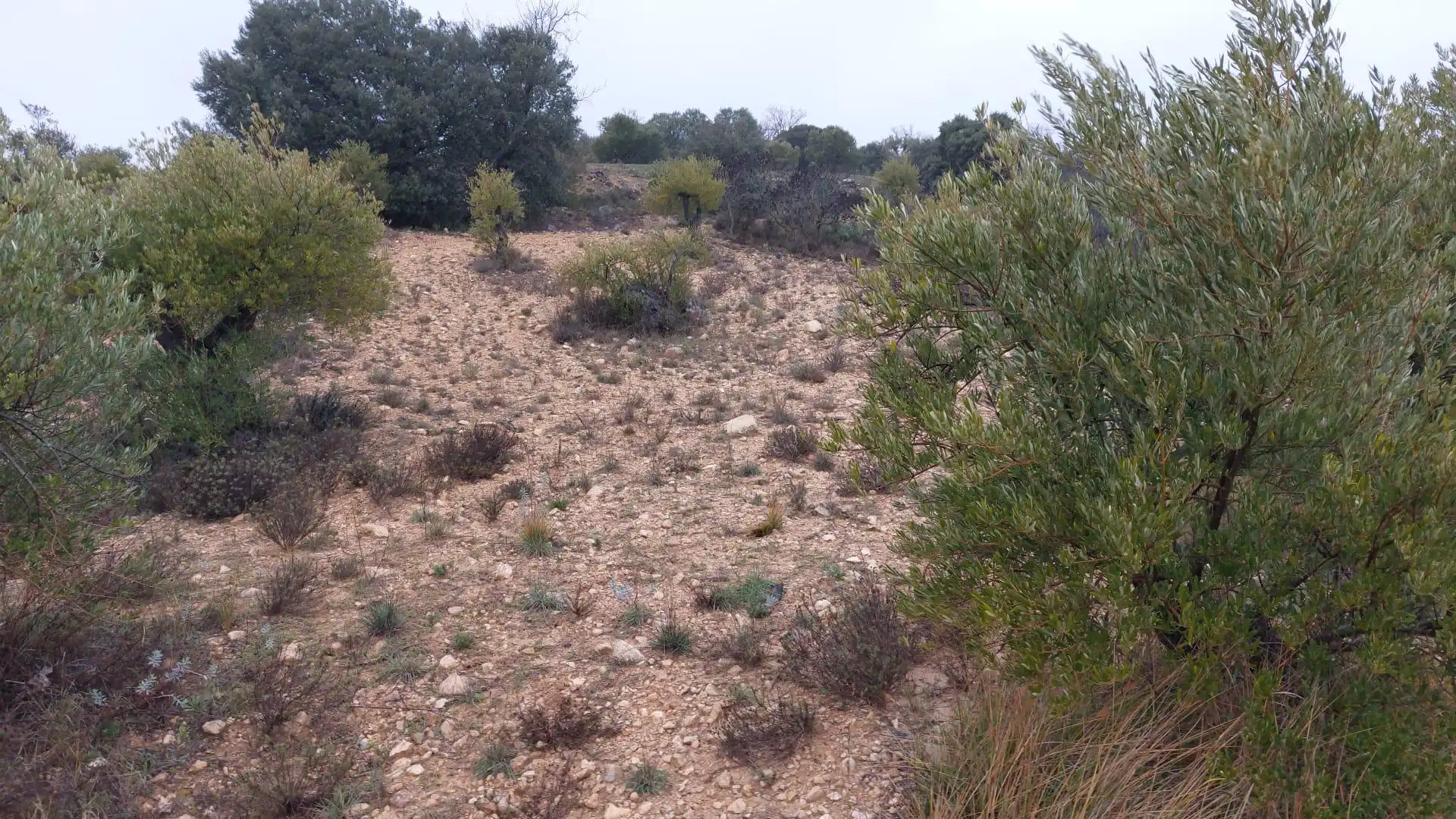 Grundstücke zur Miete in Loranca de Tajuña