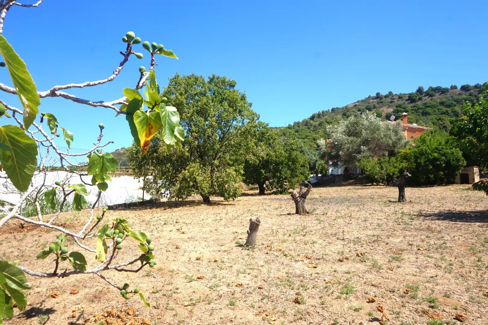 Houses for sale in Pineda de Mar  with Heating, Private garden and Terrace
