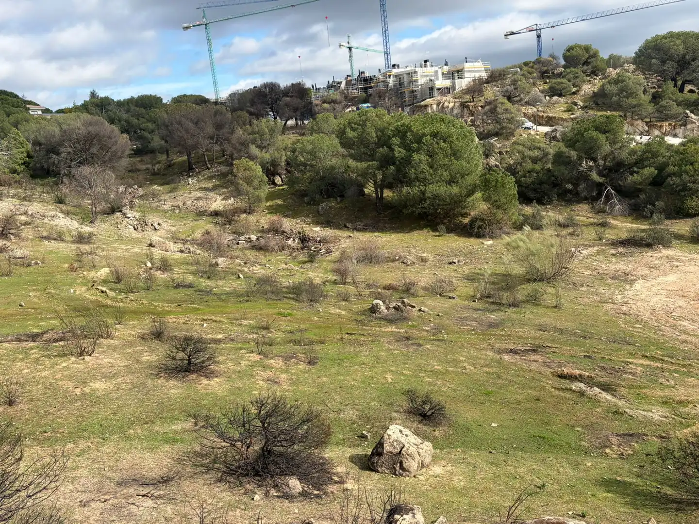 Wohnbaugrundstück zum Verkauf in Las Marías, imagen 4