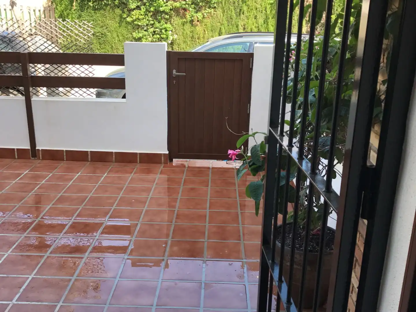 Garden of Houses for rent in Mar Menor de Cartagena – Cabo de Palos