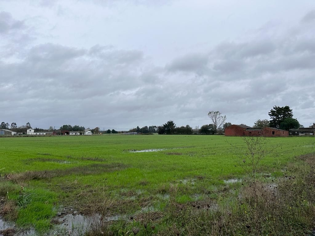 Casa o xalet en venda en Castro de Rei amb Jardí privat i Moblat