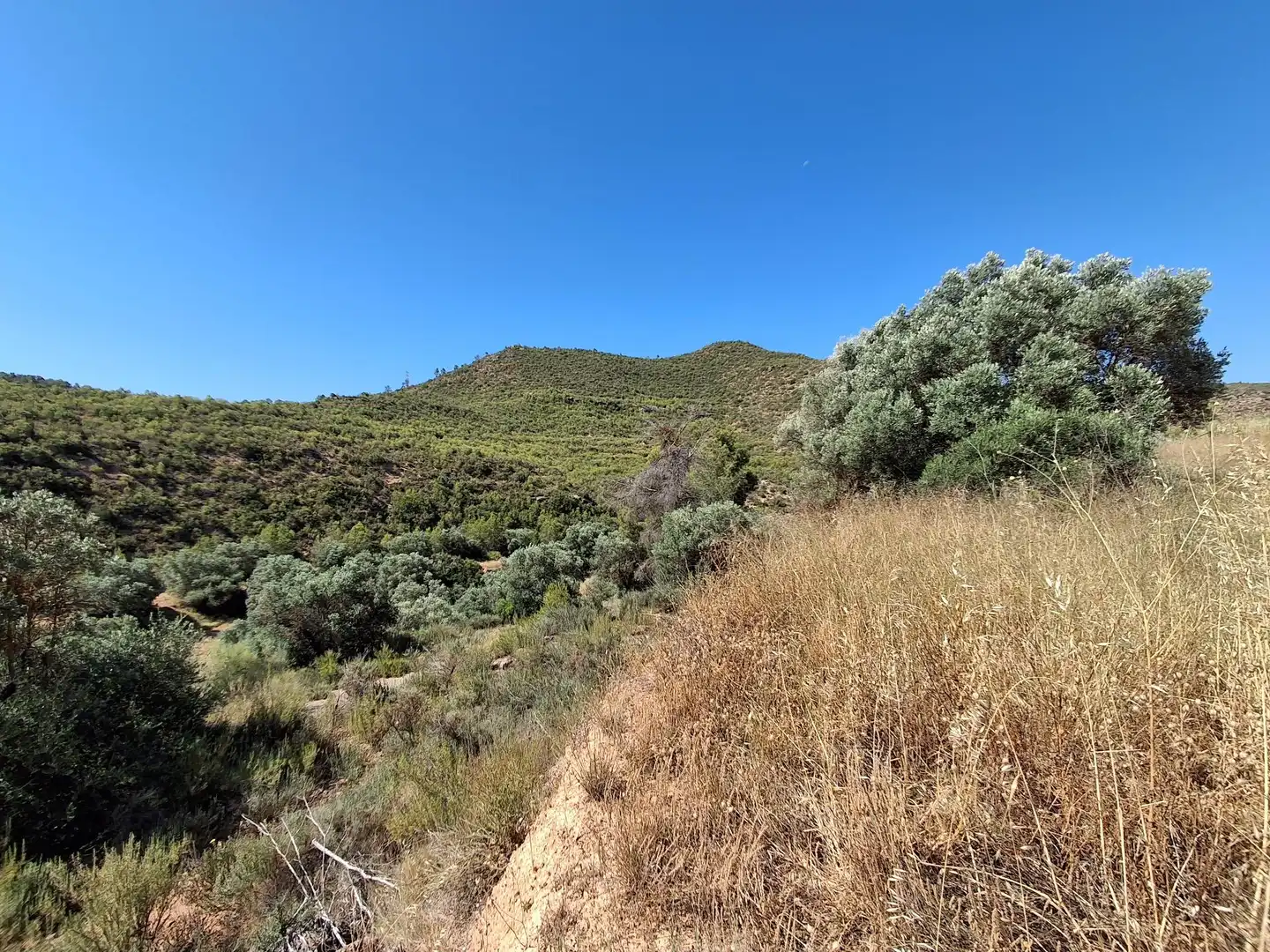 Finca rústica en venda en Riba-roja d'Ebre