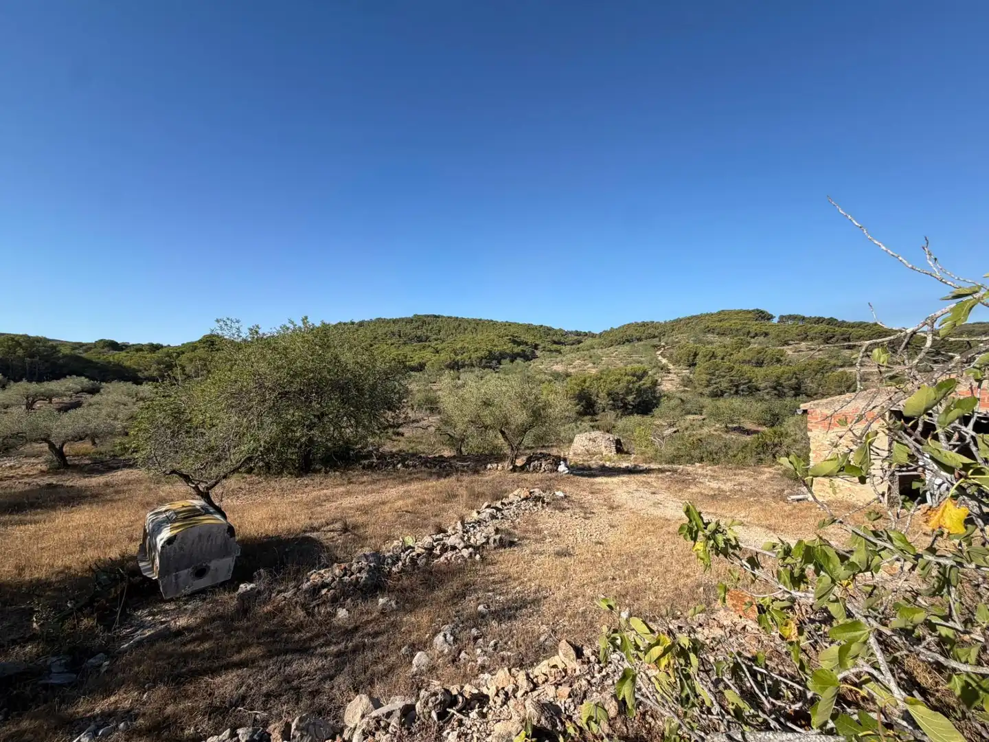 Casa rustica in vendita a El Perelló, imagen 15