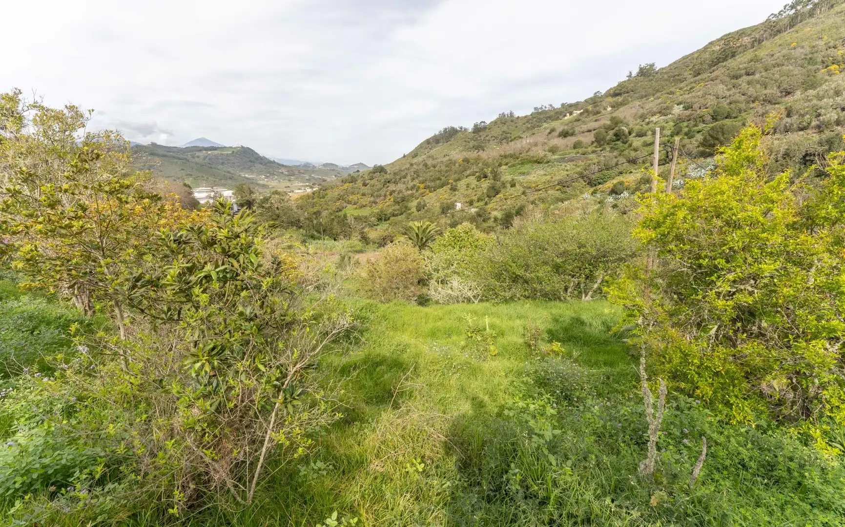 Casa o chalet de alquiler en Camino Camino del Monte, Tegueste