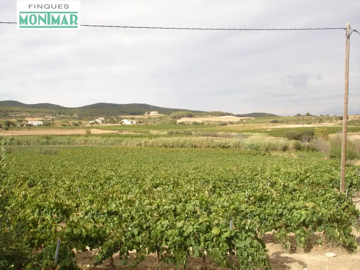 Finca rústica en venta en Castellví de la Marca
