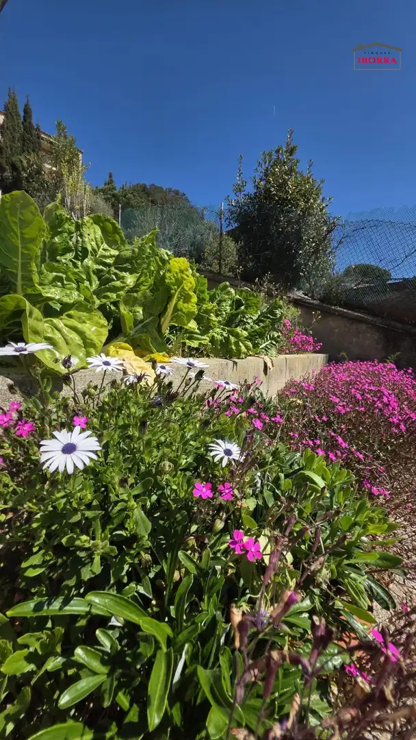 Jardí de Casa o xalet en venda en Tordera amb Jardí privat