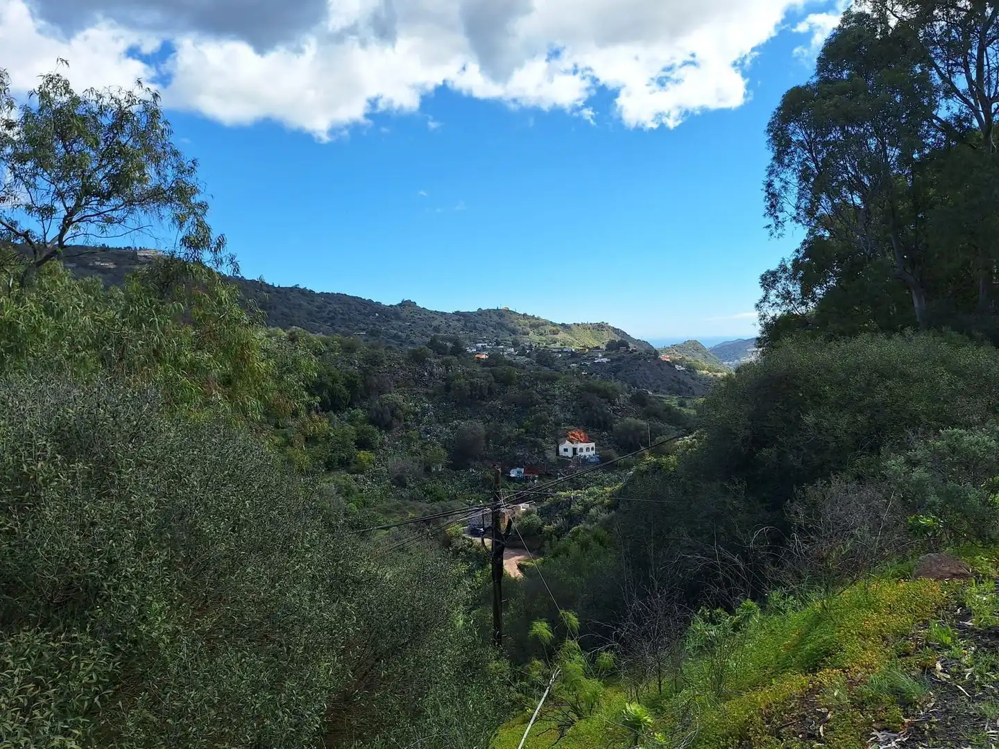 Xalet amb jardí en venda a Camino Pino Santo Bajo, imagen 14
