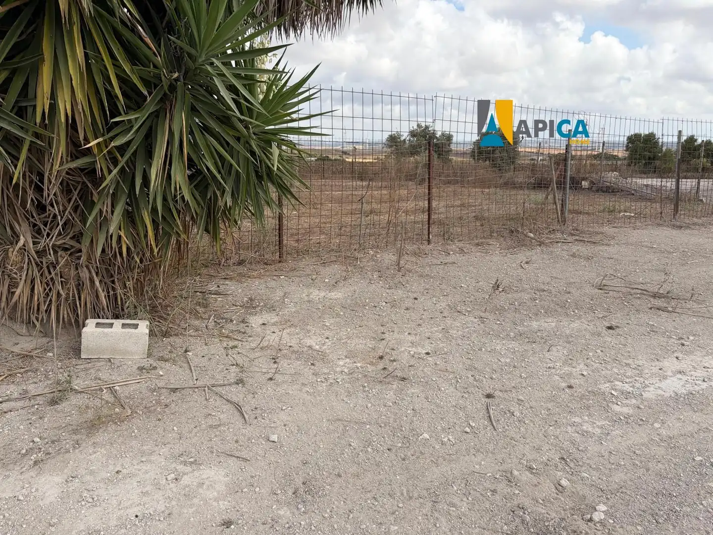 Rural land for sale in Los Franceses – La Vega, imagen 4