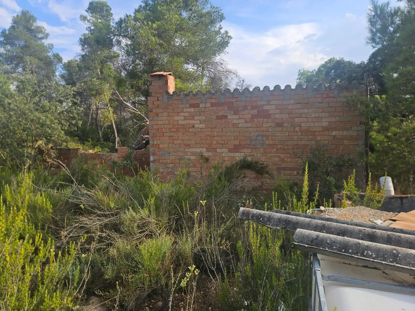 Land for sale in La Pobla de Cérvoles