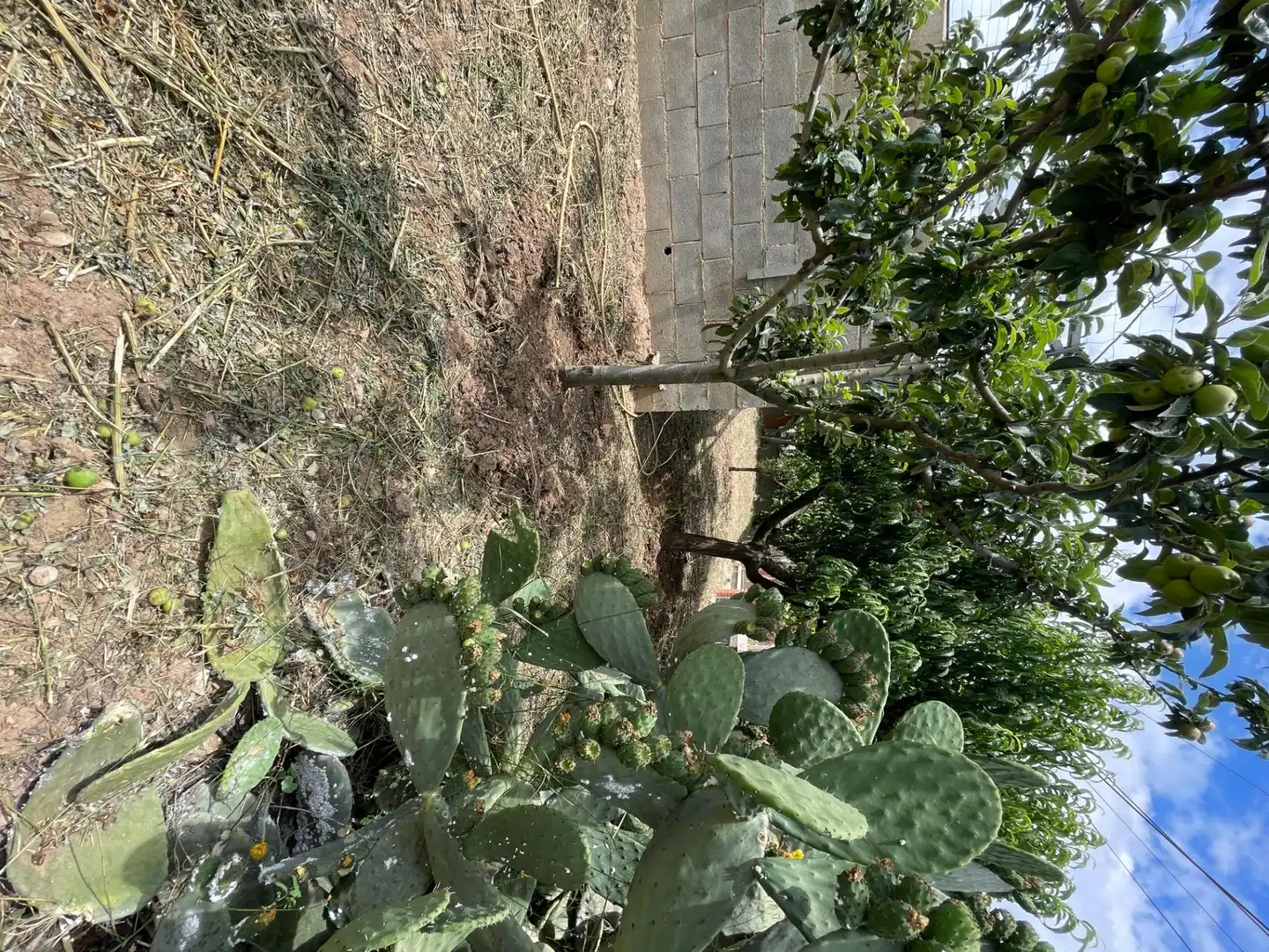 Terreni e lotti in vendita a Cabrera d'Anoia, imagen 15