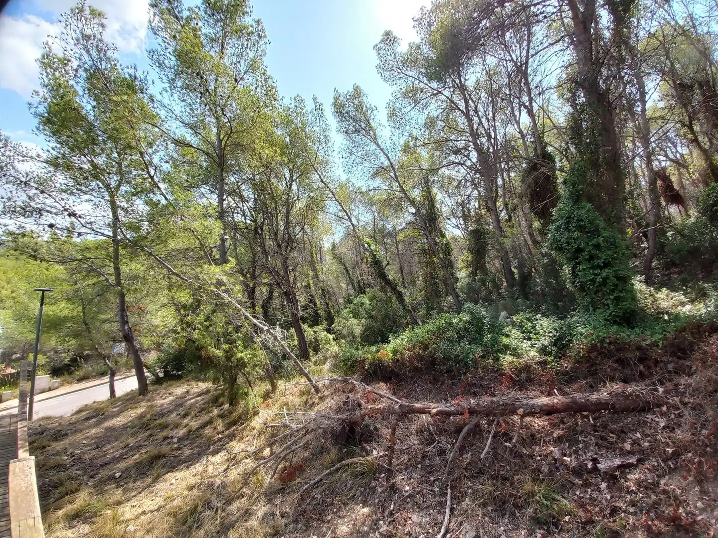 Lands and plots for sale in Carrer MIRANDA, DE LA 38, imagen 9