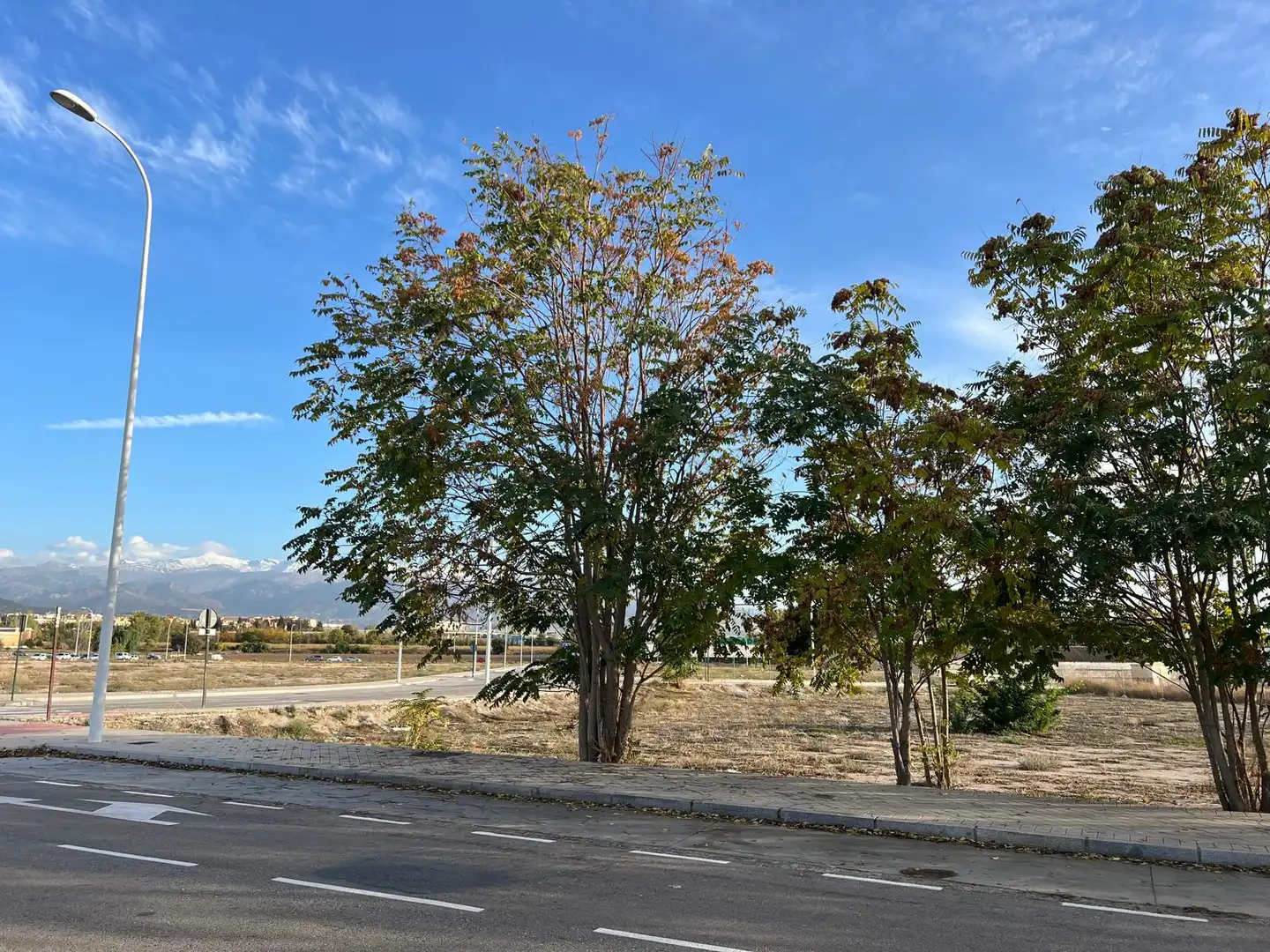 Industrial land for rent in Granada
