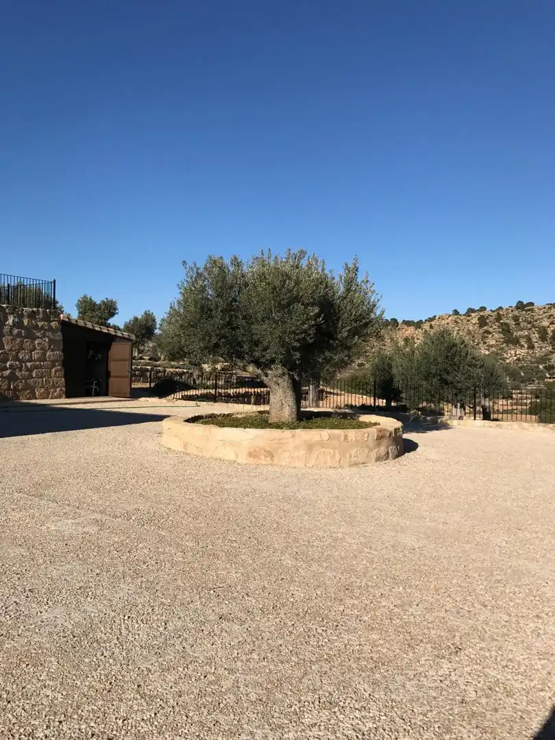 Vista exterior de Casa o chalet en venta en Alcañiz con Terraza