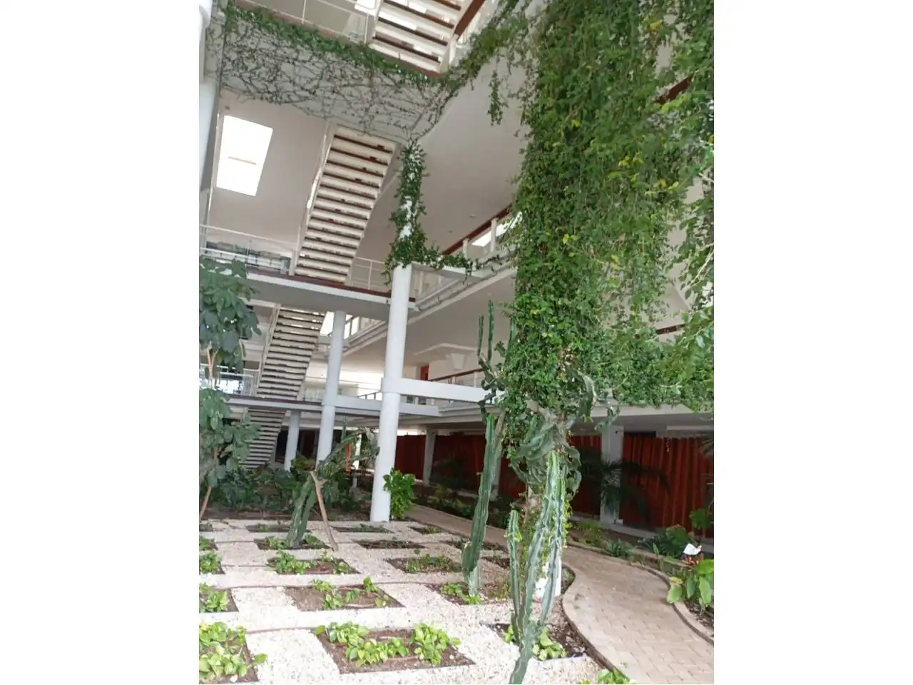 Pis amb piscina en venda a Urbanizacion PARQUE BOTANICO, imagen 2