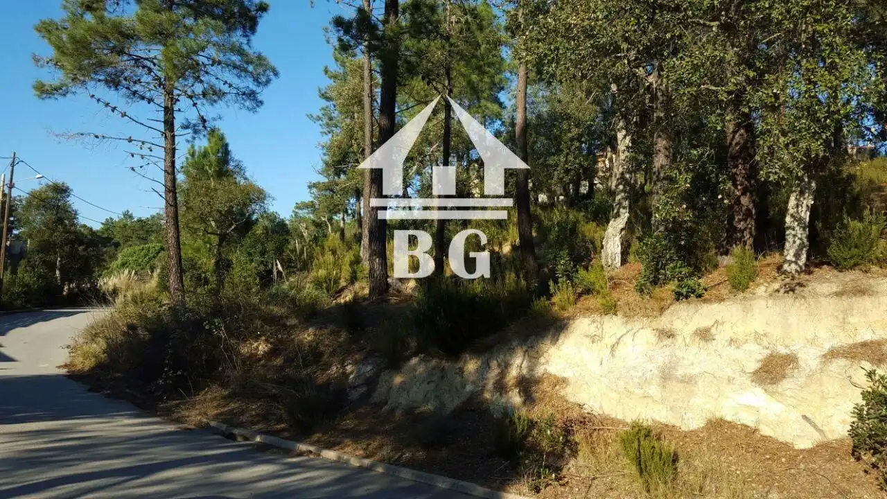 Rural land for sale in DÀLIA, imagen 4