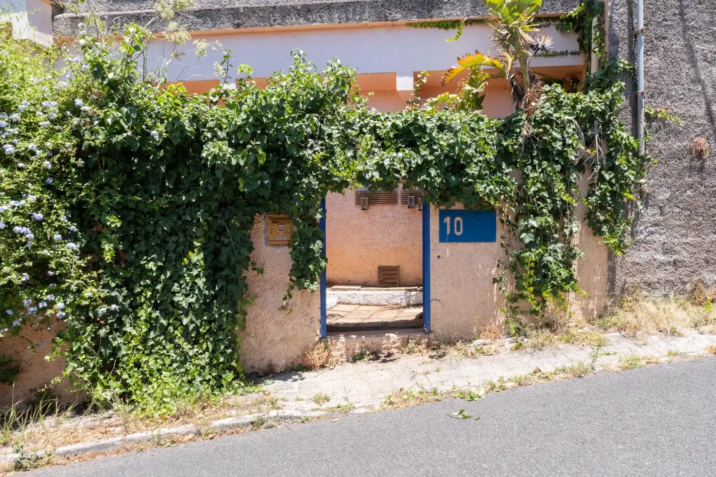 Vista exterior de Casa o chalet en venta en Santa Brígida