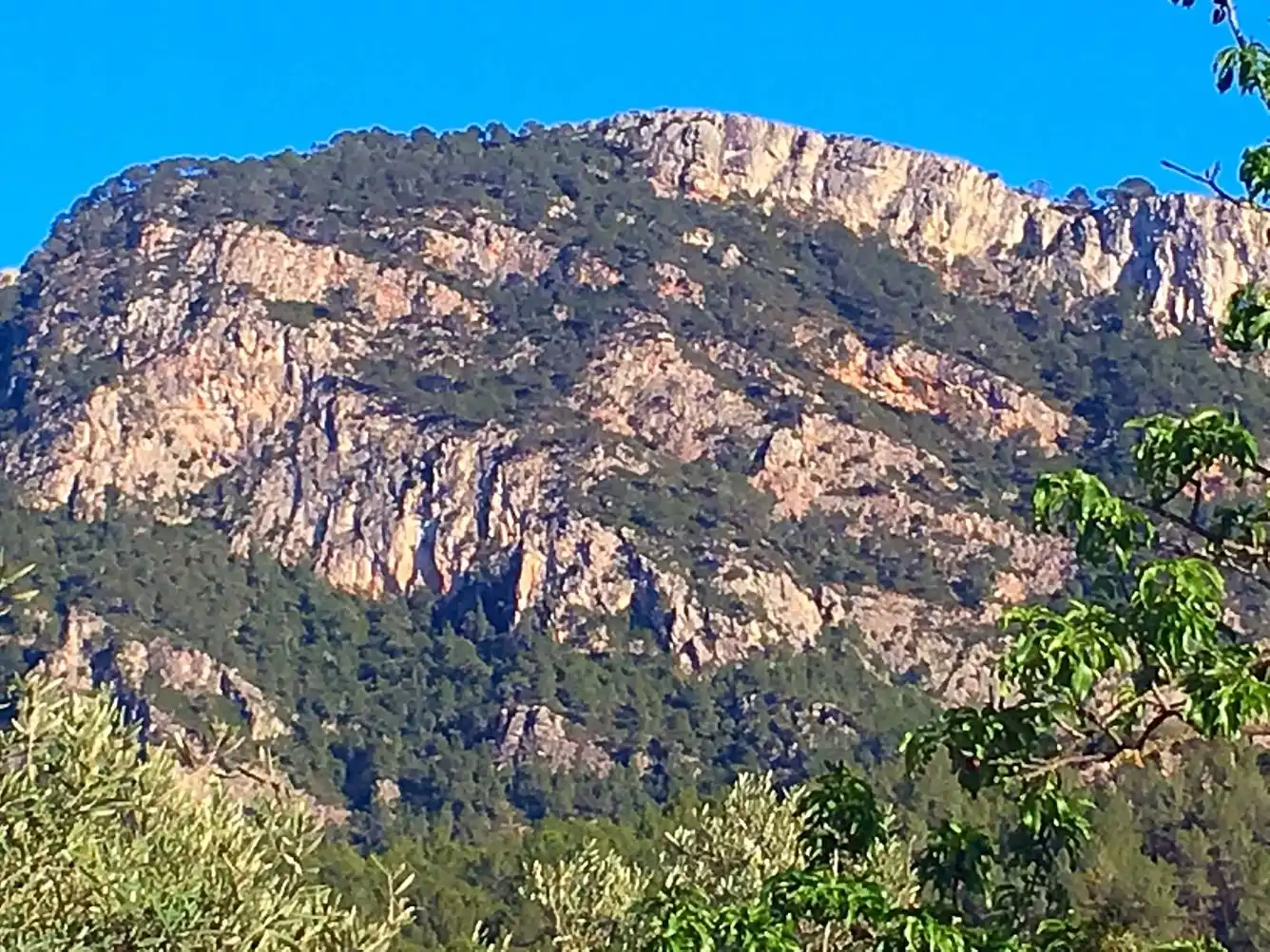 Terrain rustique à vendre à Benifallet, imagen 7