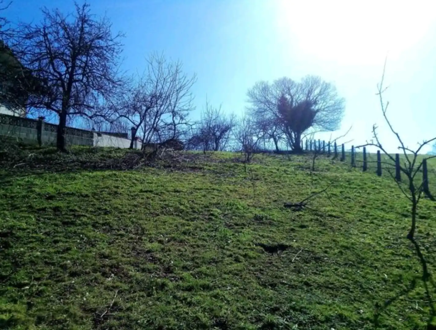 Land for sale in Ciaño - Zona Rural