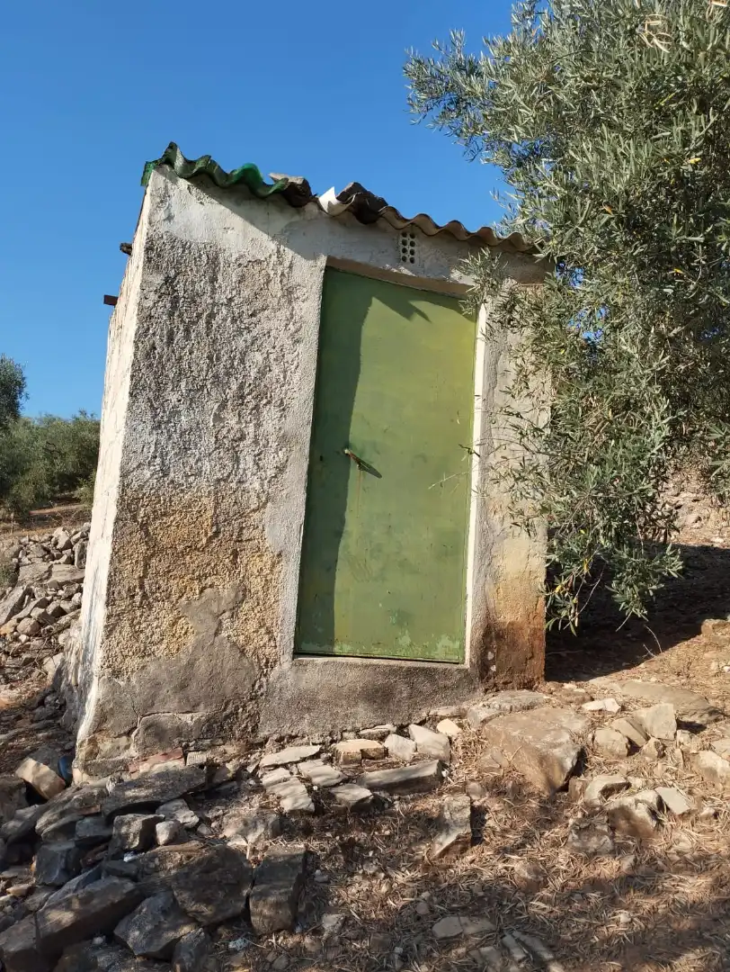Terreno rustico in vendita a Calle Santa Teresa de Jornet, imagen 11