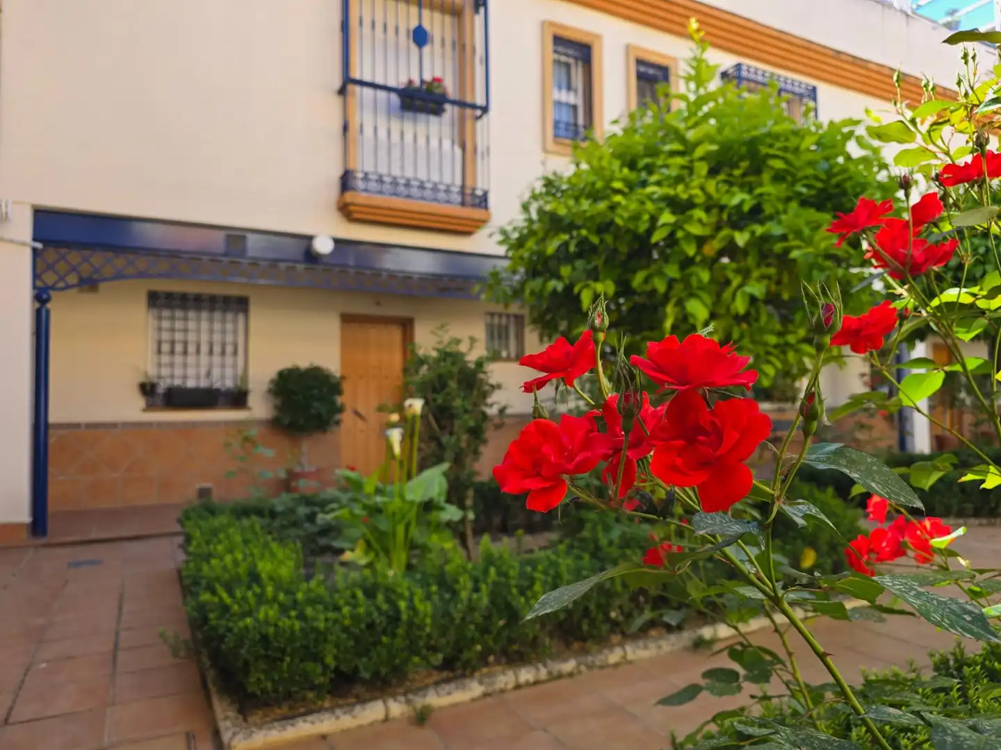 Garden of Houses for sale in  Córdoba Capital  with Air Conditioner, Private garden and Balcony