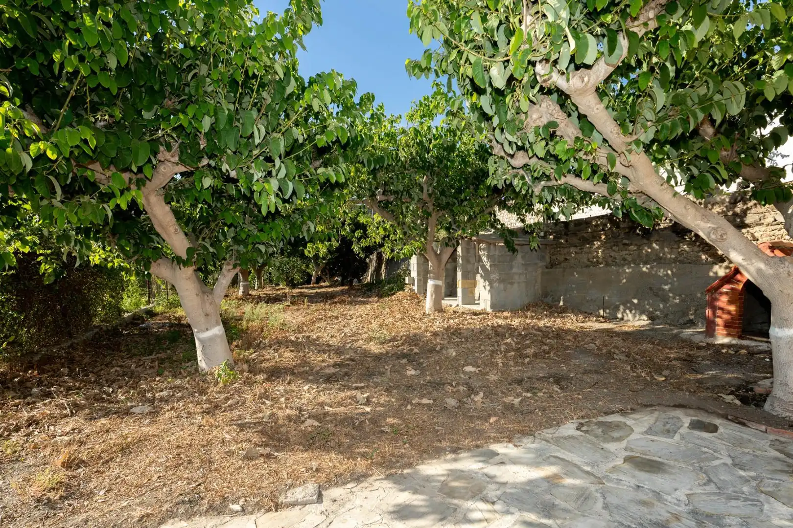 Casa amb jardí en venda a Polígono  Cañada minasierra. poligono 19-parcela 194 y 58, imagen 18