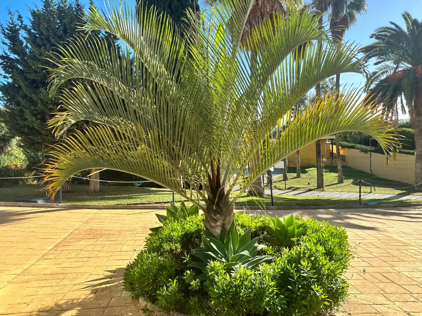 Piso con jardín en venta en Camino del Prado 1, imagen 39