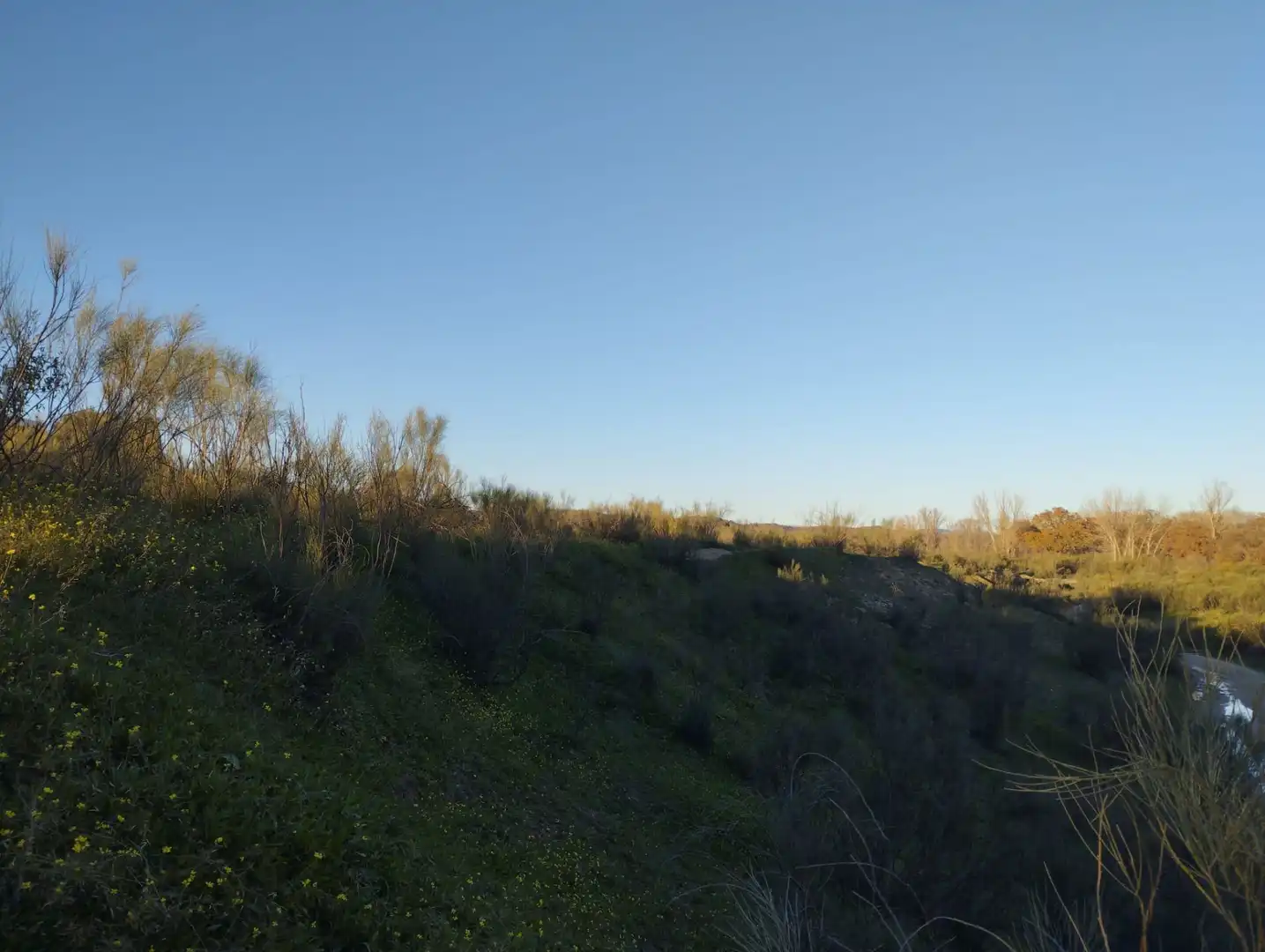 Rural land for sale in Quijorna, imagen 3