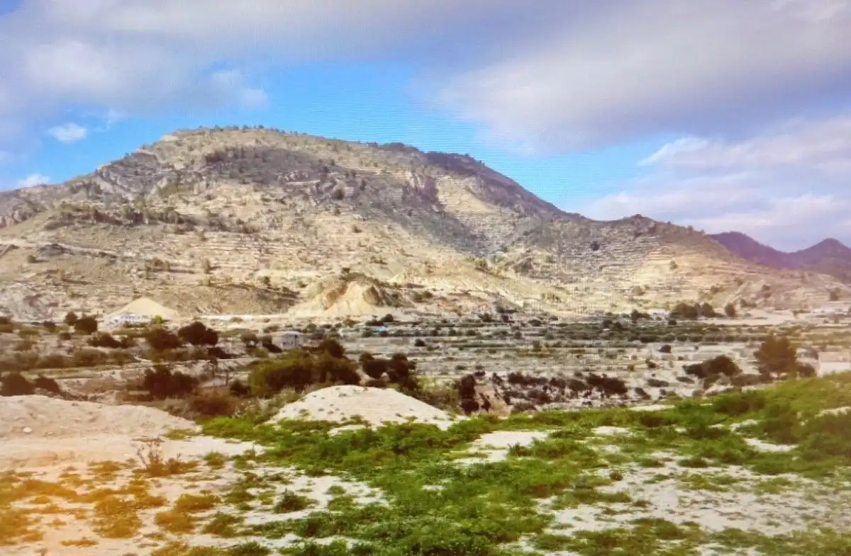 Vista exterior de Casa o xalet en venda en Relleu amb Jardí privat i Traster