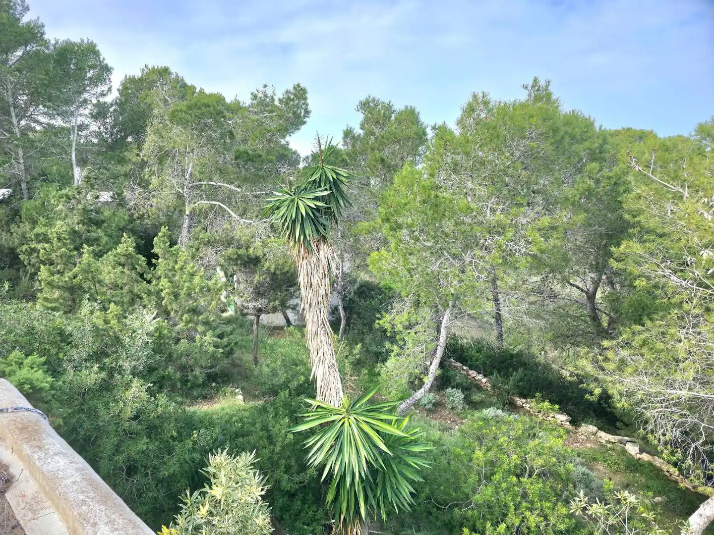 Jardín de Residencial en venta en Sant Joan de Labritja