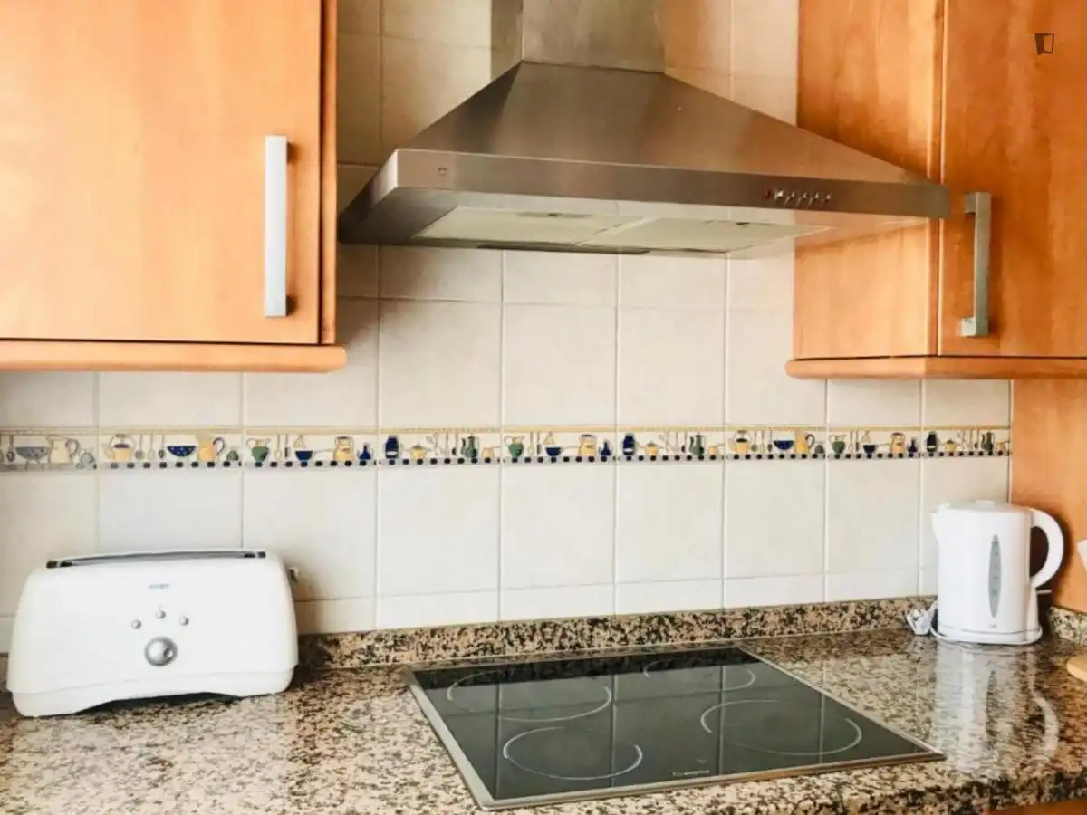 Kitchen of Apartments for rent in Málaga  with Air Conditioner, Furnished and Oven