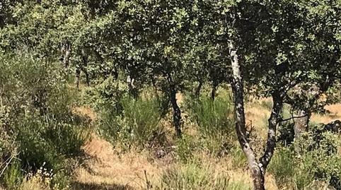 Foto 5 de Finca rústica en venda a Casco Antiguo, Toledo