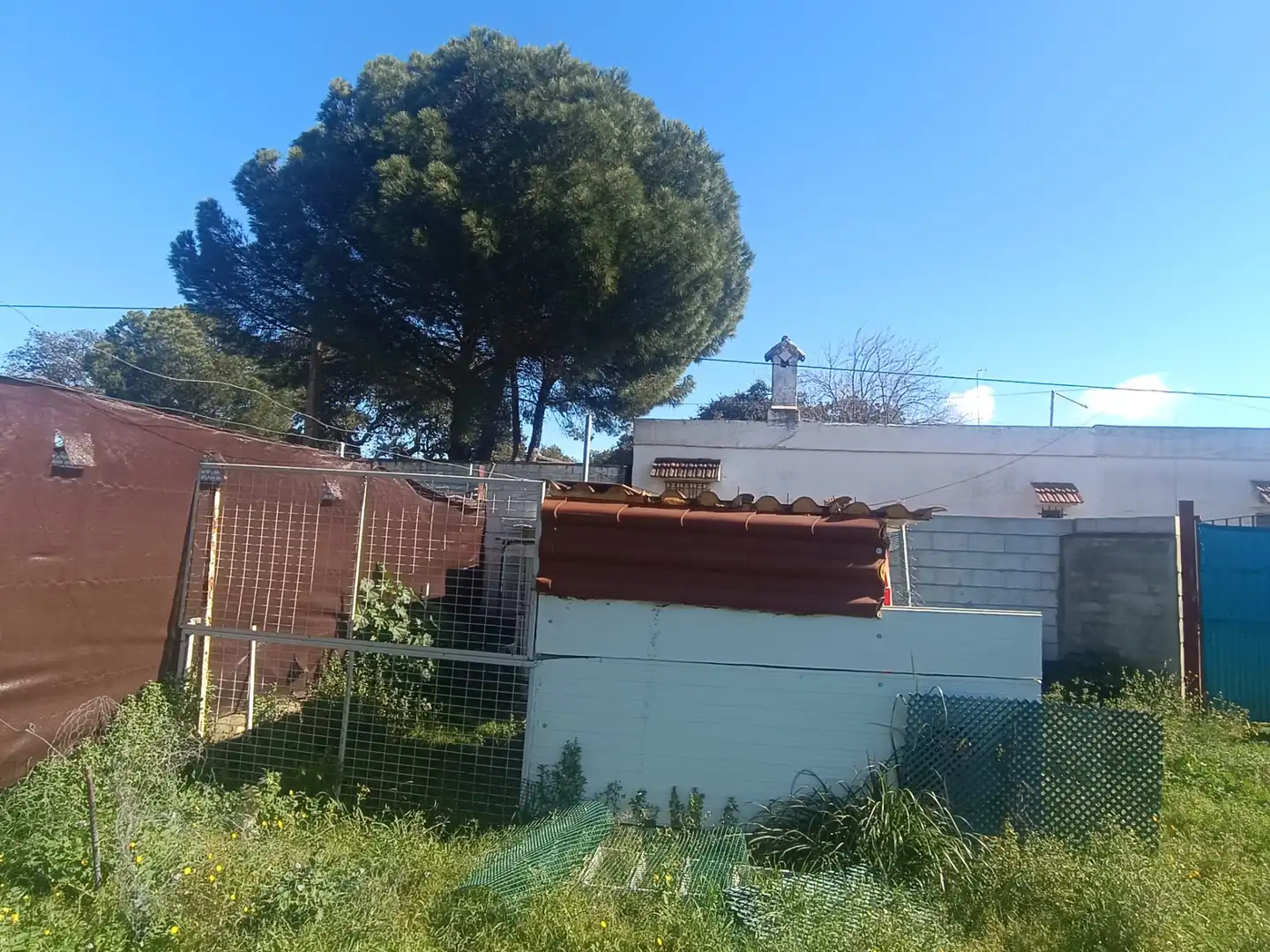 Terreni e lotti in vendita a Castilblanco de los Arroyos, imagen 17