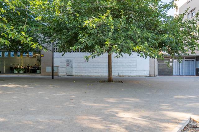 Local comercial en Venta en  Catedrática Asunción Linares en Campus de la Salud