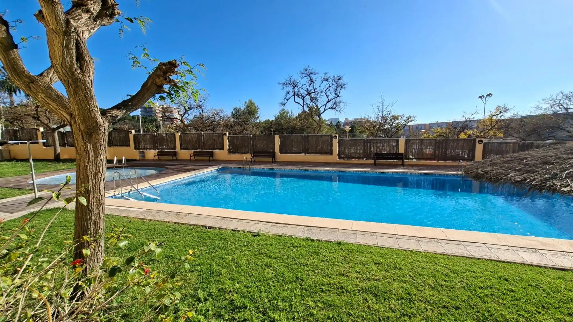 Swimming pool of Flat for sale in Alicante / Alacant  with Terrace and Storage room