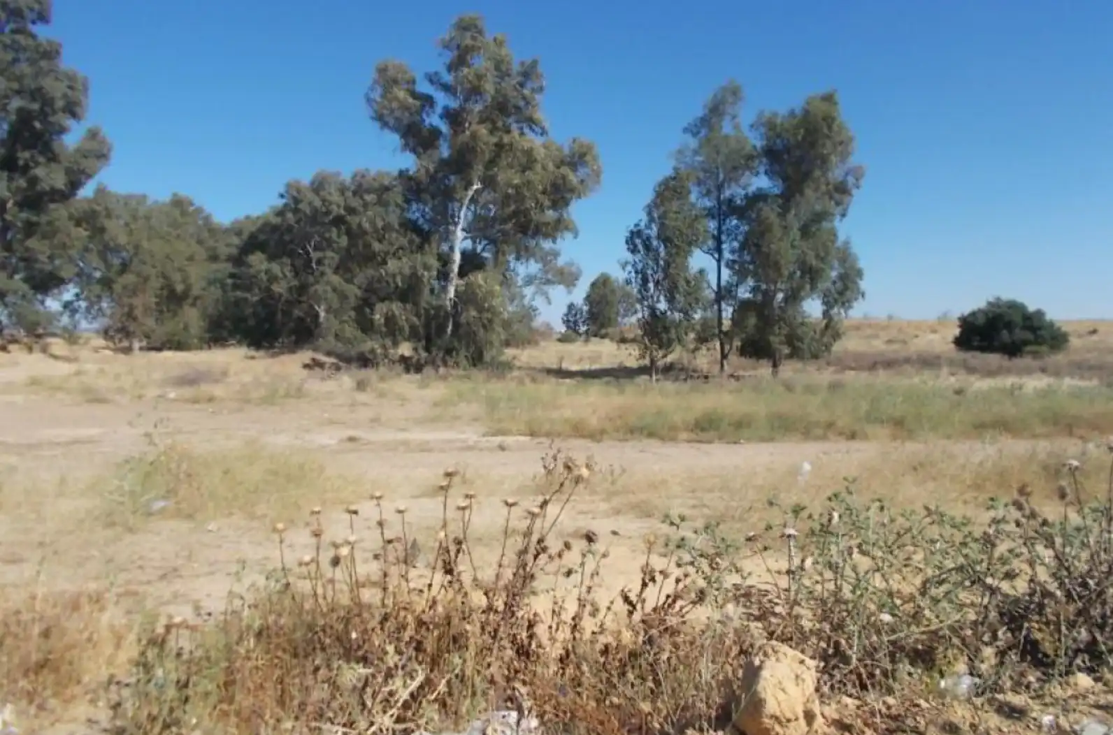 Land for sale in Sevilla