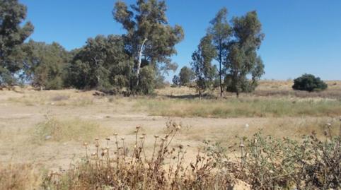 Foto 3 de Terreno en venta en Ptda. Santa Bárbara Sector Suo-de01, Colores -  Entreparques, Sevilla